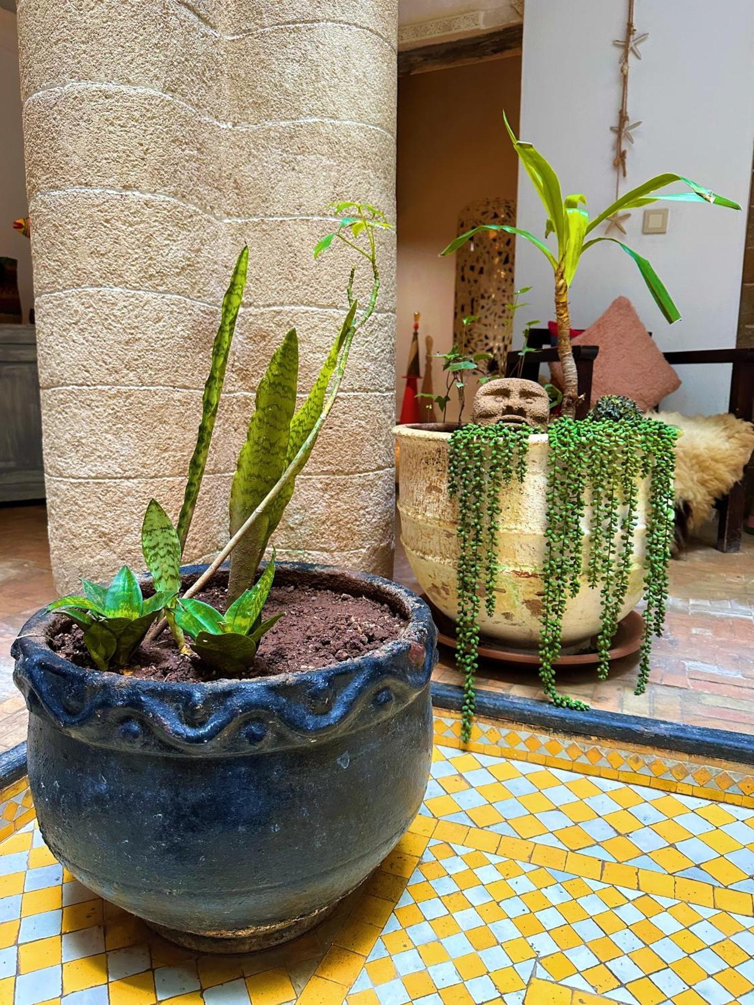 Les Terrasses D'Essaouira - Yoga Studio Eksteriør bilde