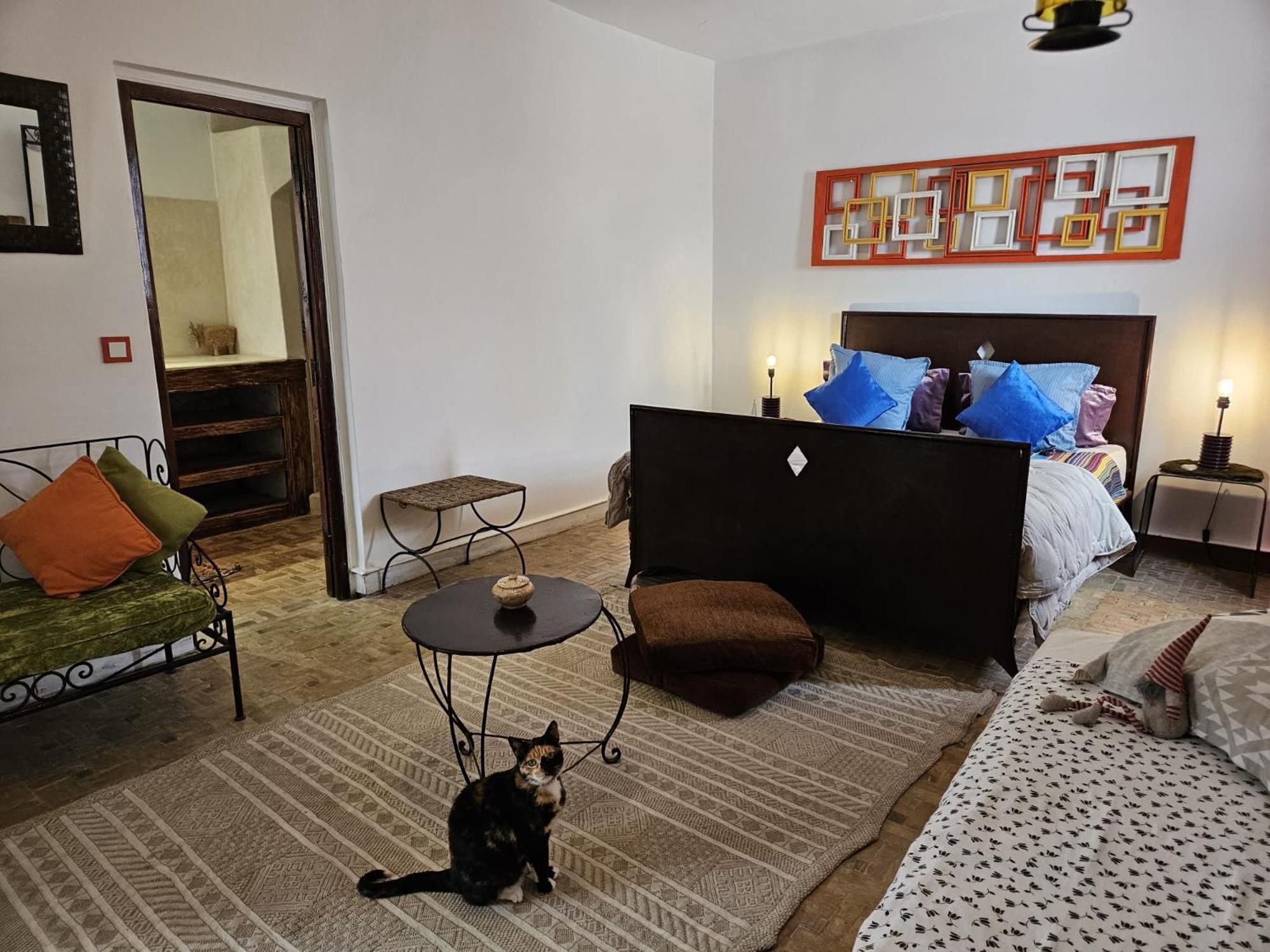Les Terrasses D'Essaouira - Yoga Studio Eksteriør bilde